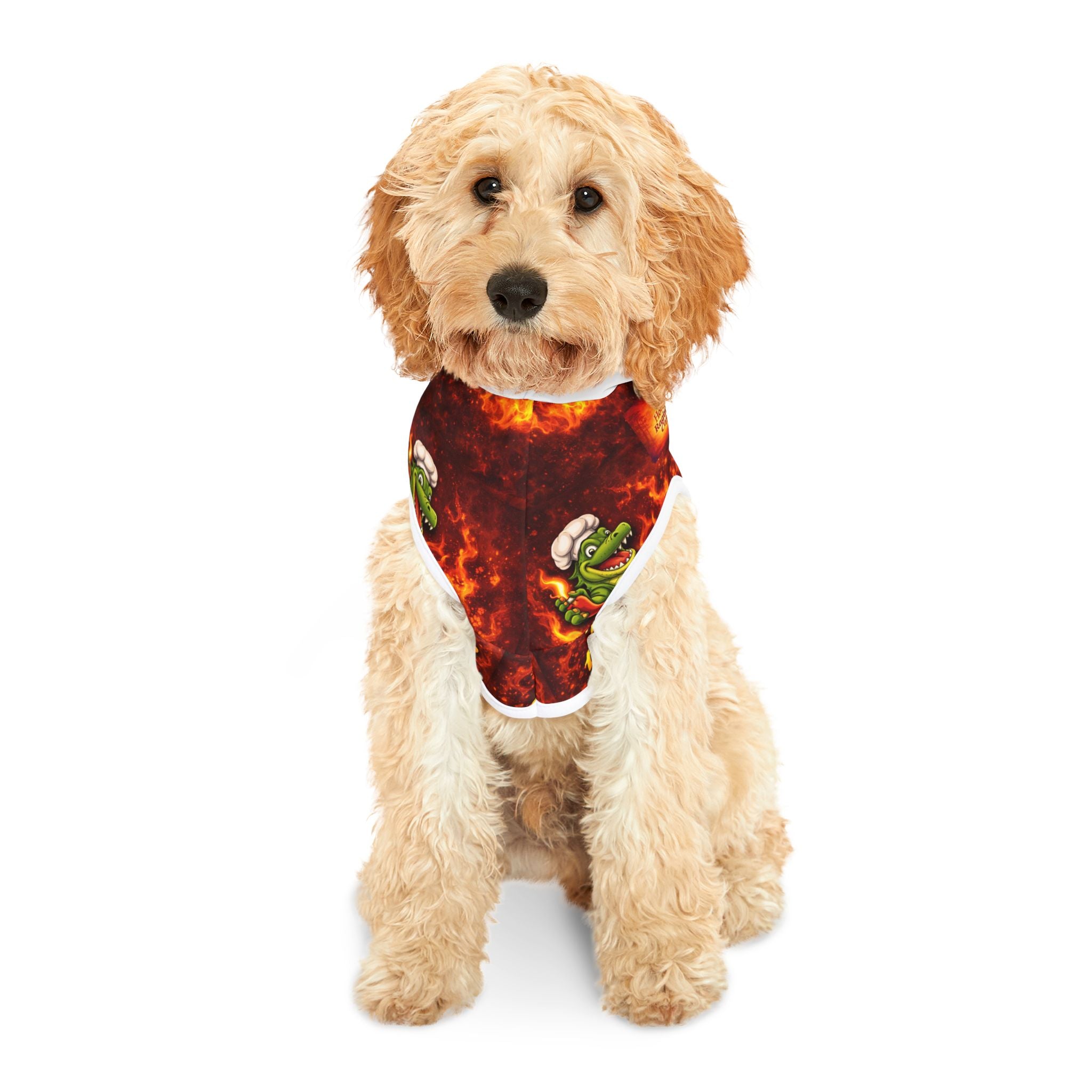 Copy of Pet Hoodie